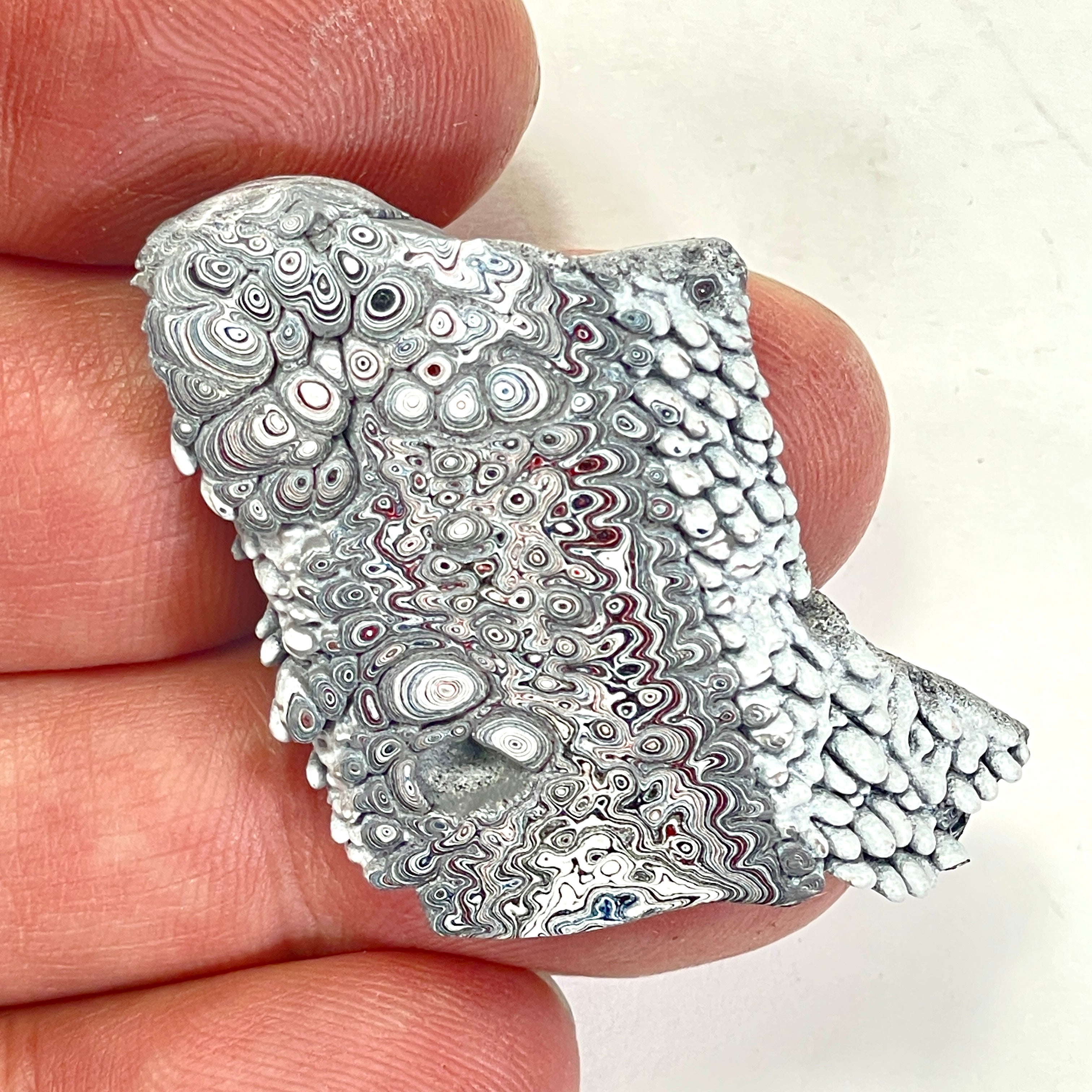 DVH Ford F150 Dragon Scale Fordite Specimen Polished Face KC Assembly (6682)
