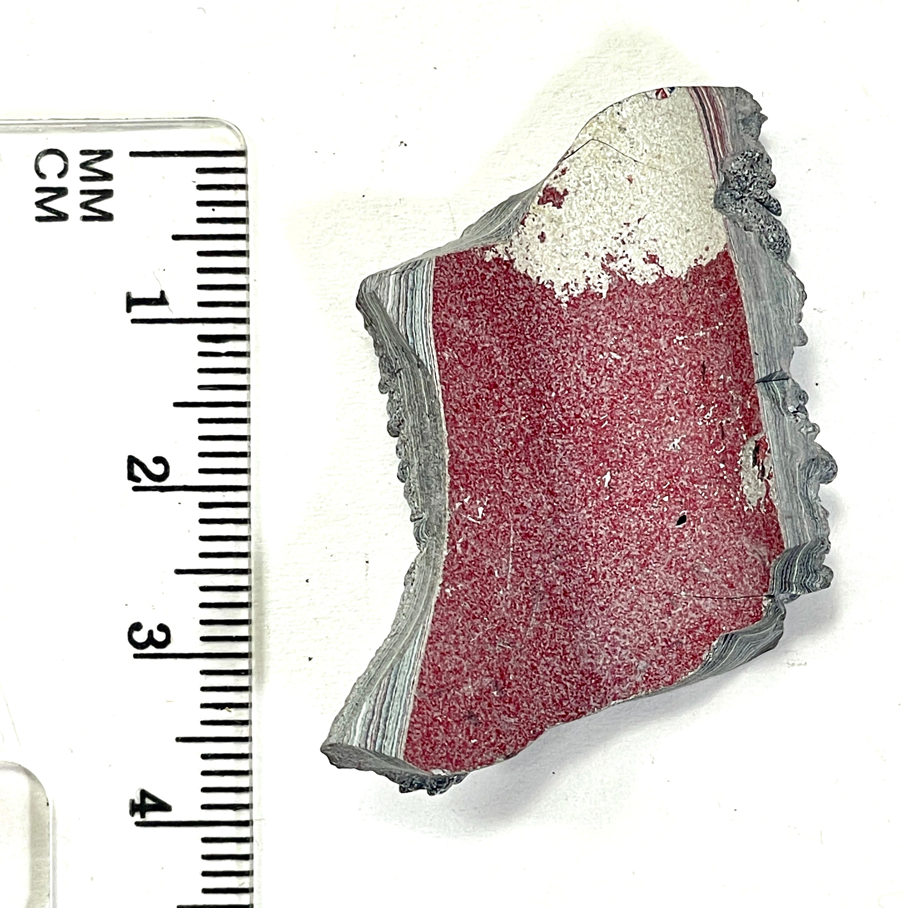 DVH Ford F150 Dragon Scale Fordite Specimen Polished Face KC Assembly (6682)