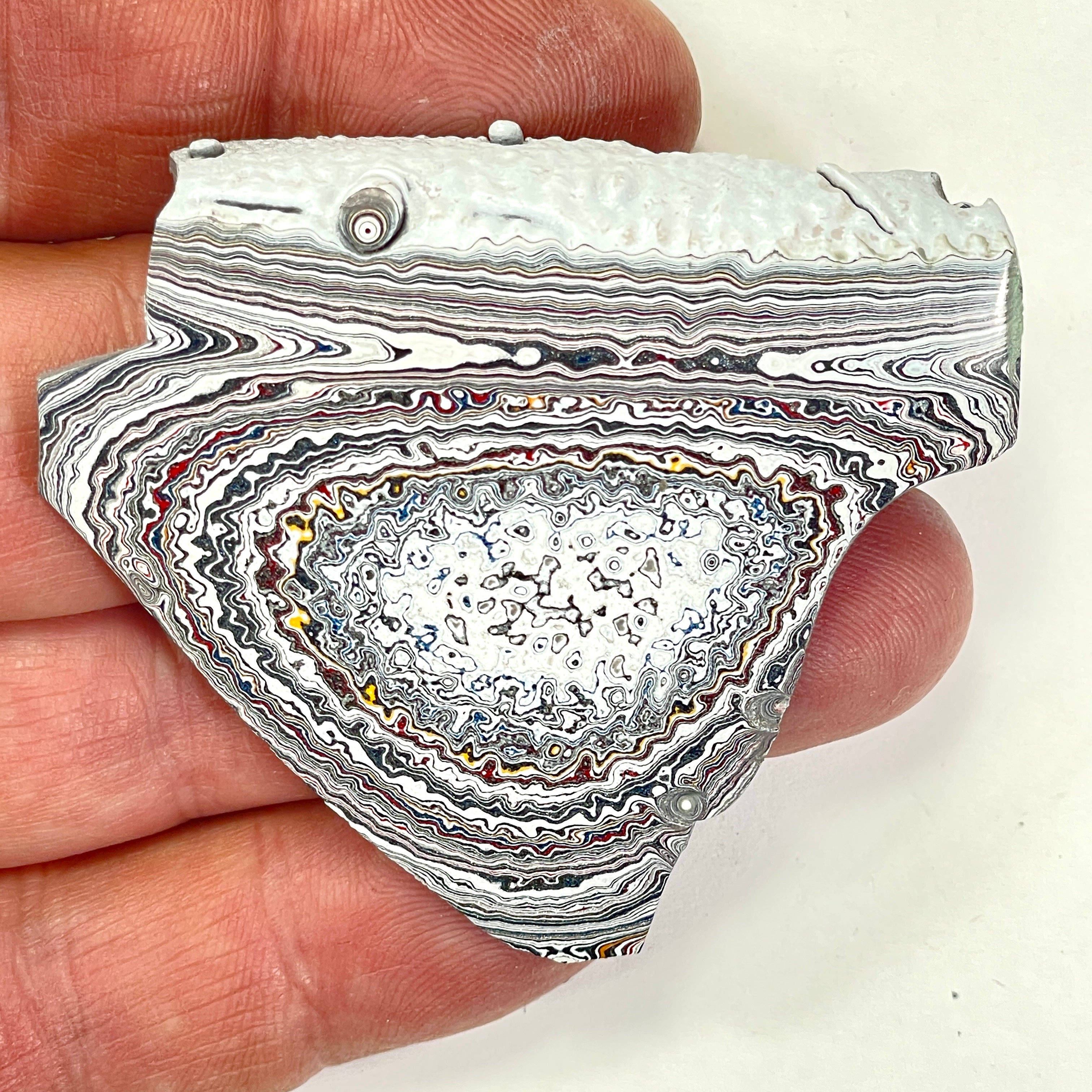 DVH Ford F150 Dragon Scale Fordite Specimen Polished Face KC Assembly (6683)