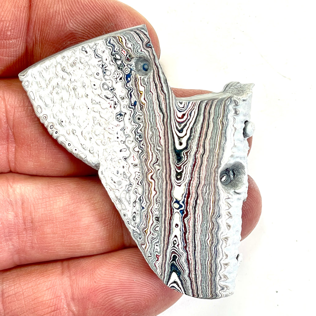 DVH Ford F150 Dragon Scale Fordite Specimen Polished Face KC Assembly (6684)