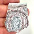 DVH Ford F150 Dragon Scale Fordite Specimen Polished Face KC Assembly (6685)