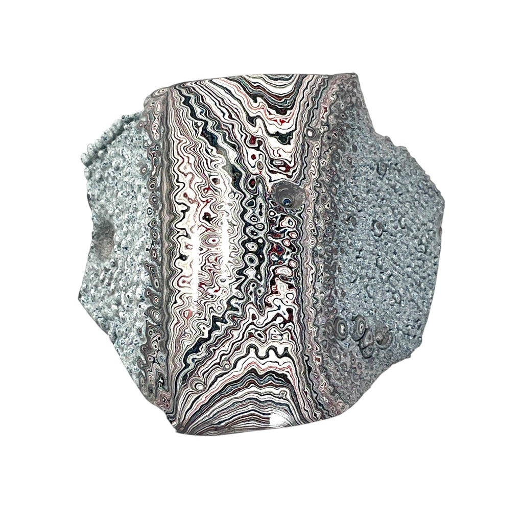 DVH Ford F150 Dragon Scale Fordite Specimen Polished Face KC Assembly (6688)