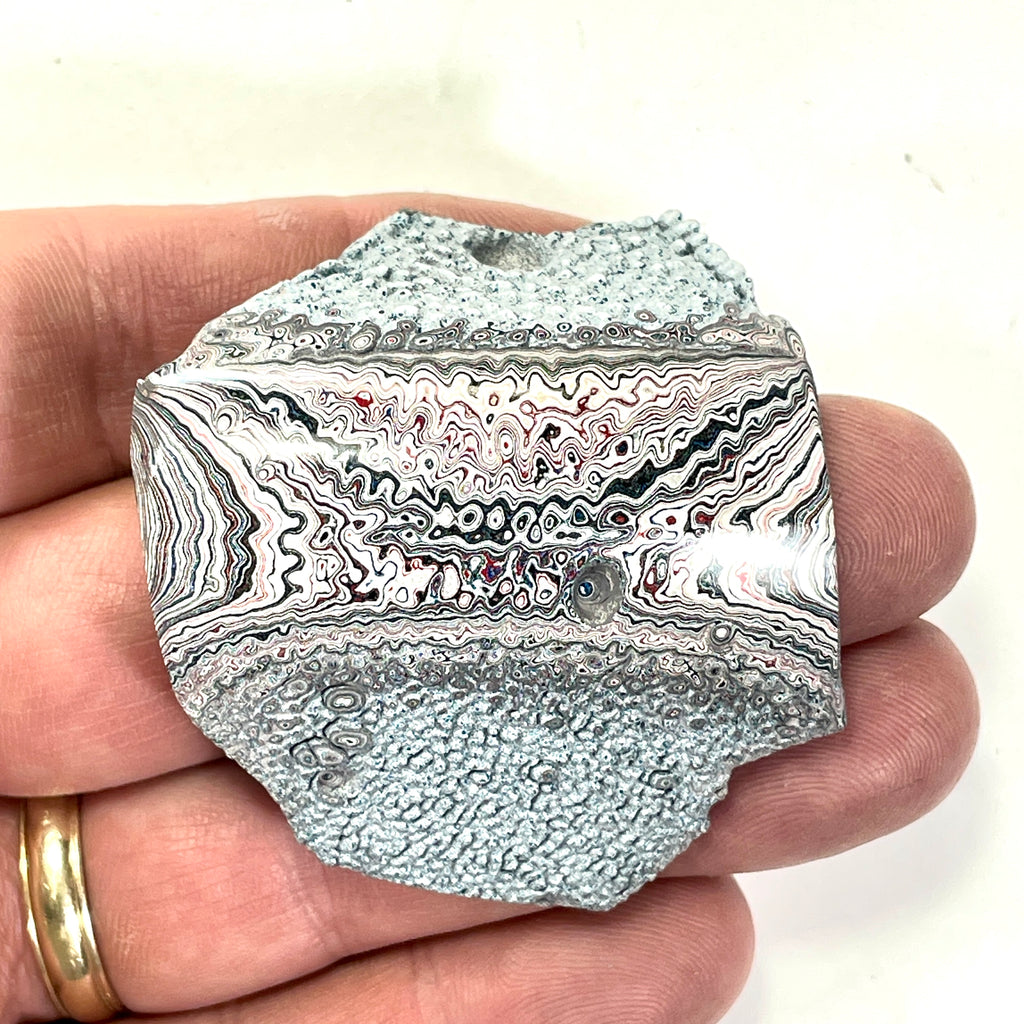 DVH Ford F150 Dragon Scale Fordite Specimen Polished Face KC Assembly (6688)