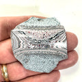 DVH Ford F150 Dragon Scale Fordite Specimen Polished Face KC Assembly (6688)
