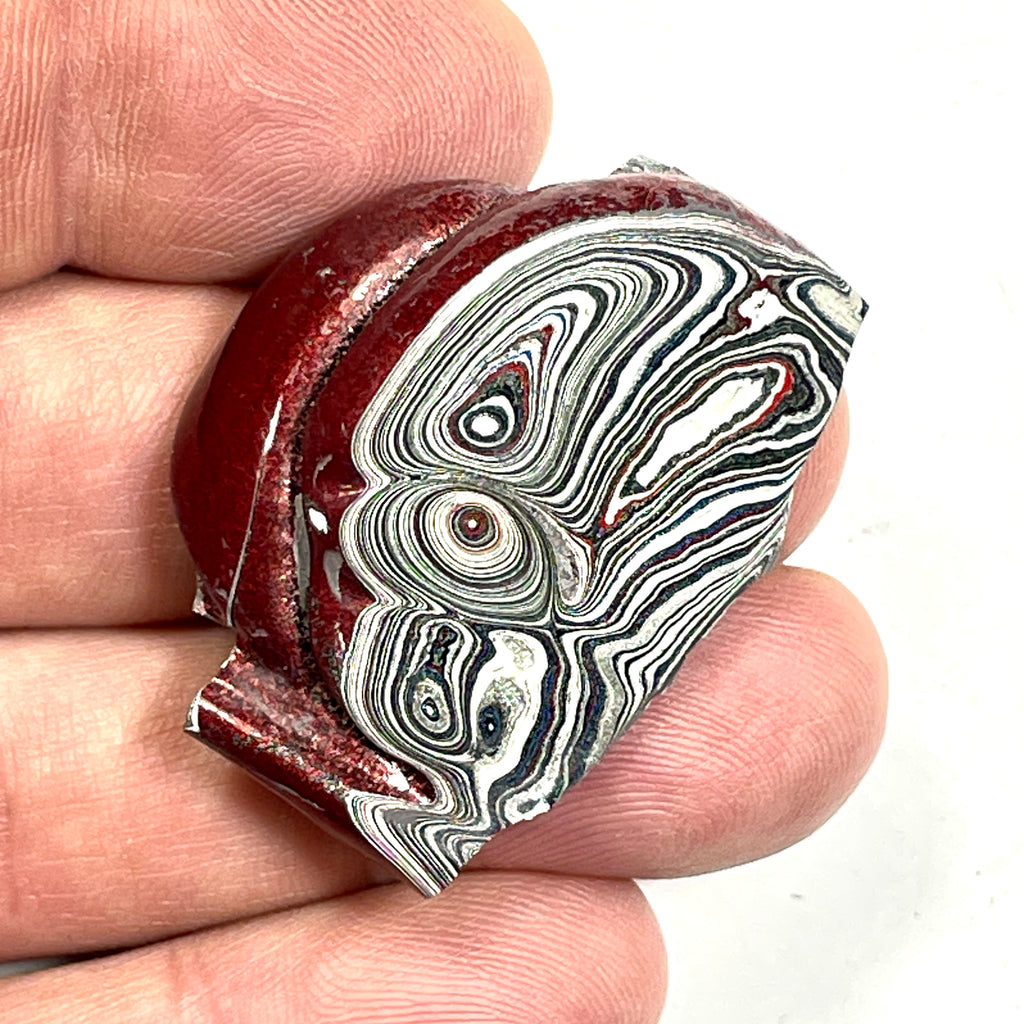 DVH Ford F150 Fordite Specimen Polished Face KC Assembly (6822)