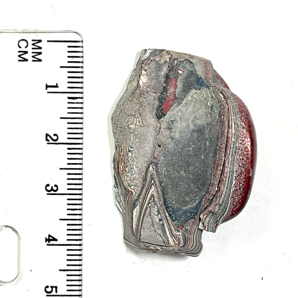 DVH Ford F150 Fordite Specimen Polished Face KC Assembly (6822)
