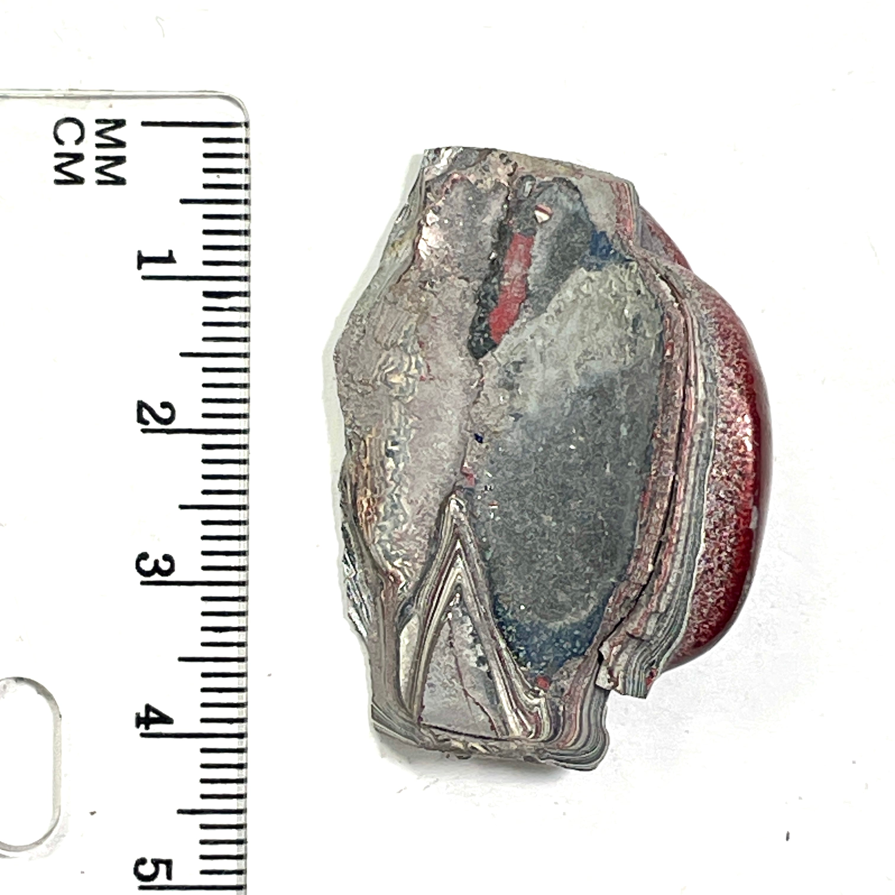 DVH Ford F150 Fordite Specimen Polished Face KC Assembly (6822)