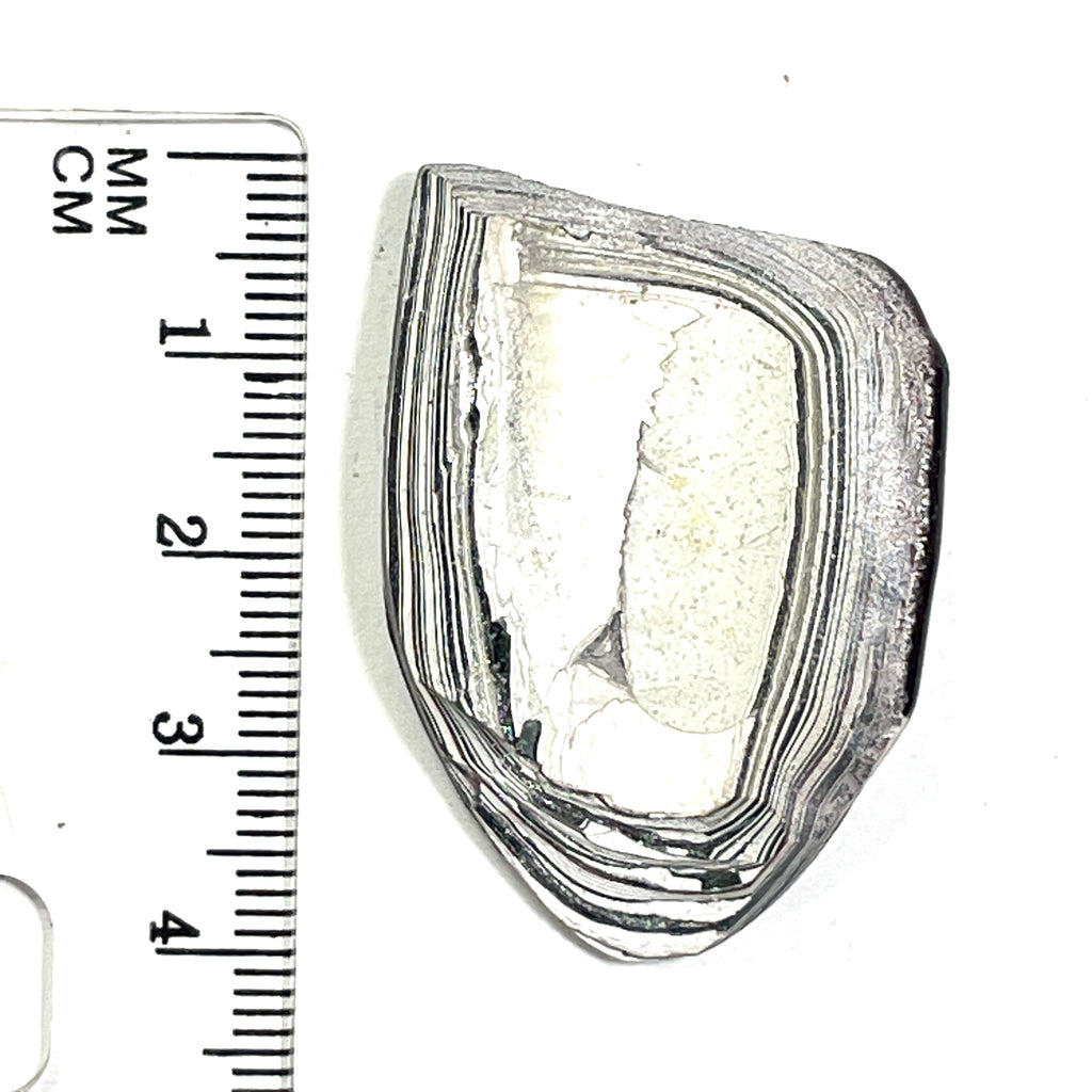 DVH Ford F150 Fordite Specimen Polished Face KC Assembly (6823)