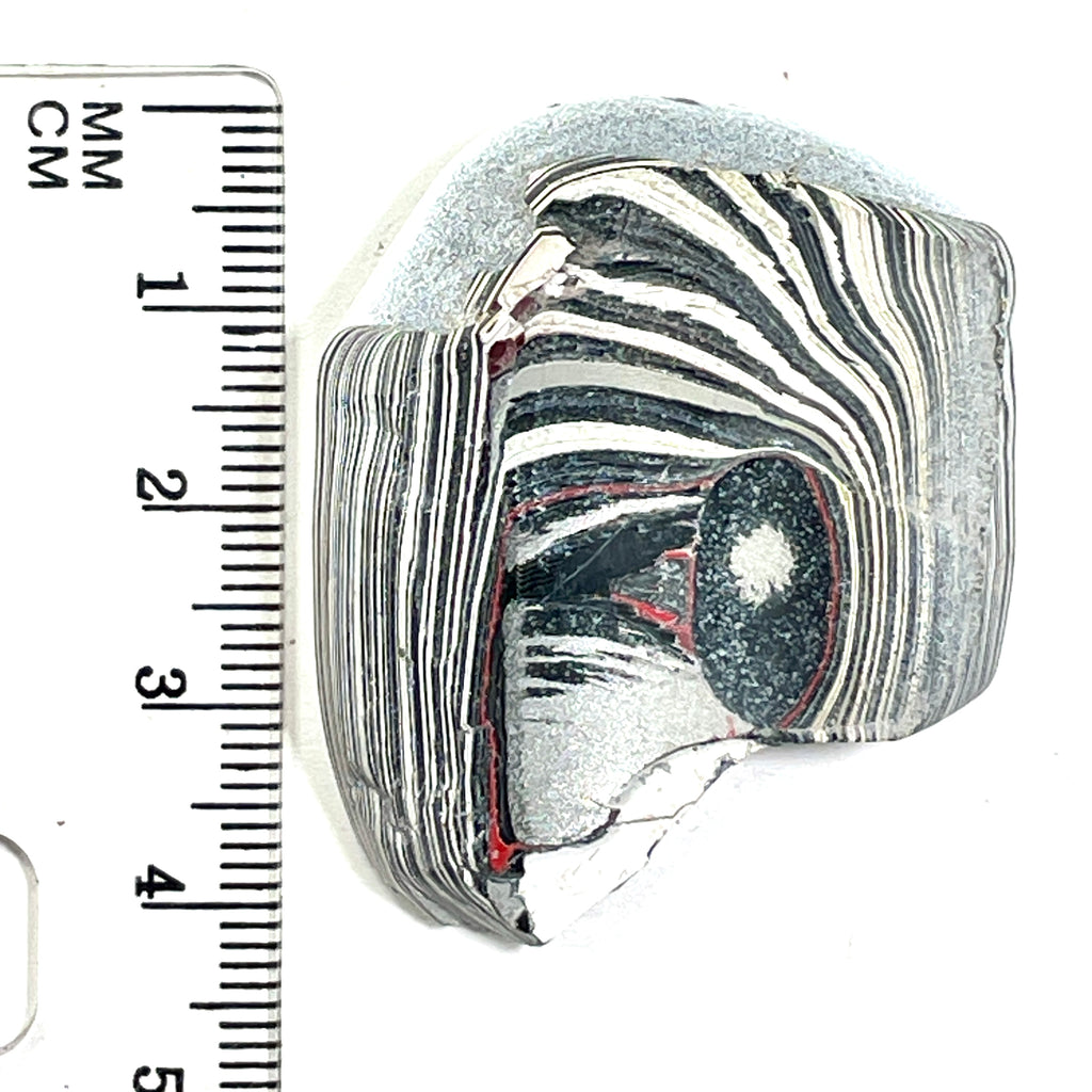 DVH Ford F150 Fordite Specimen Polished Face KC Assembly (6824)