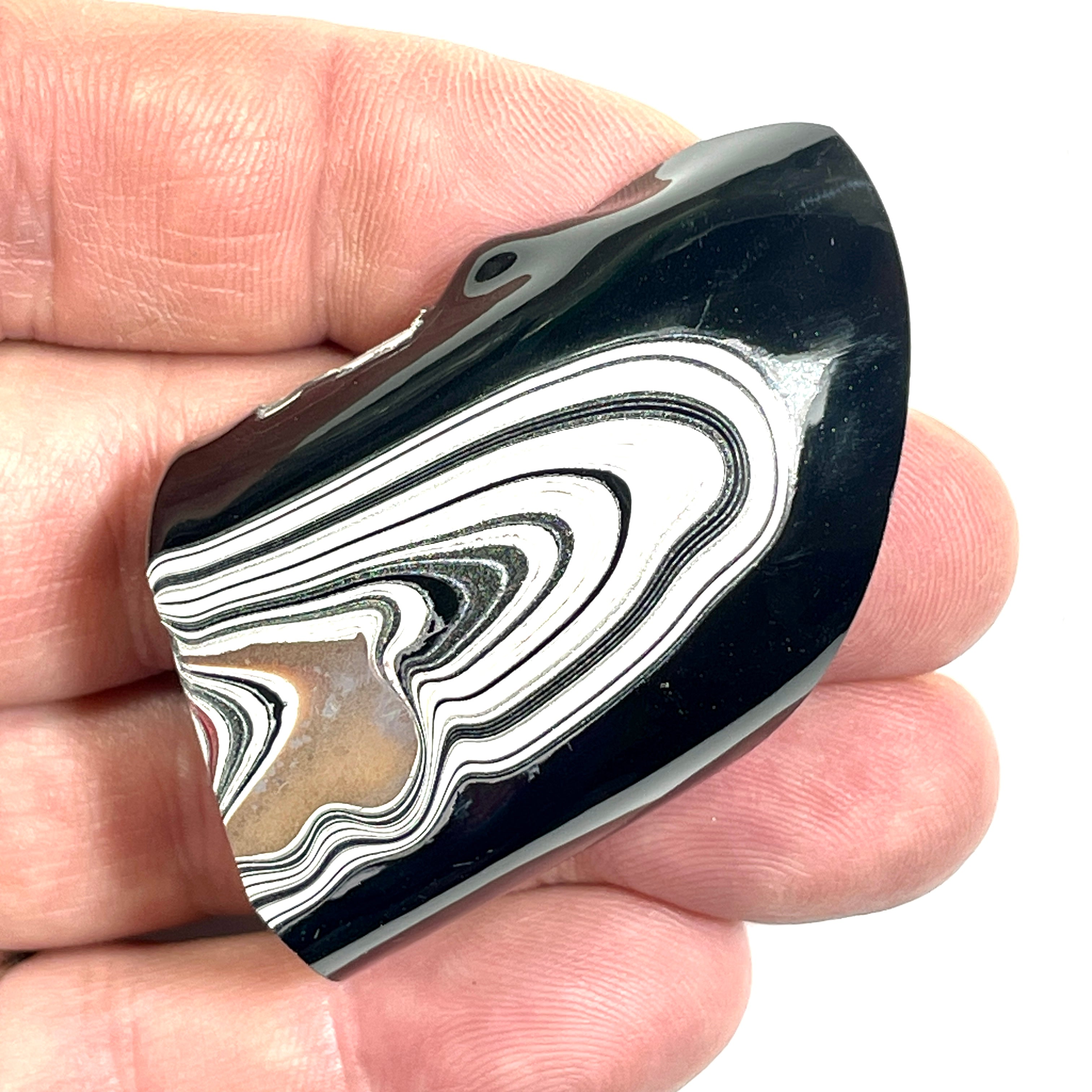 DVH Ford F150 Fordite Specimen Polished Face KC Assembly (6825)