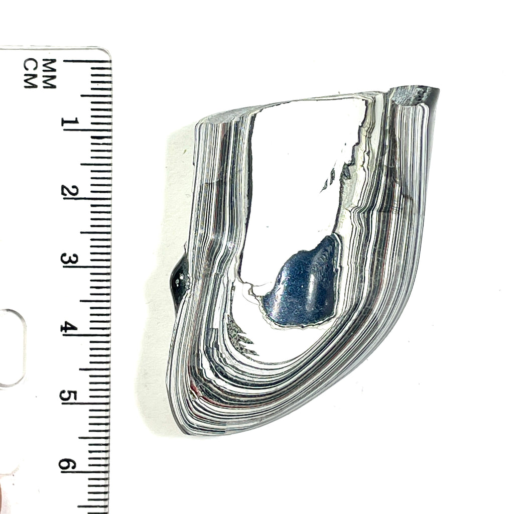 DVH Ford F150 Fordite Specimen Polished Face KC Assembly (6825)