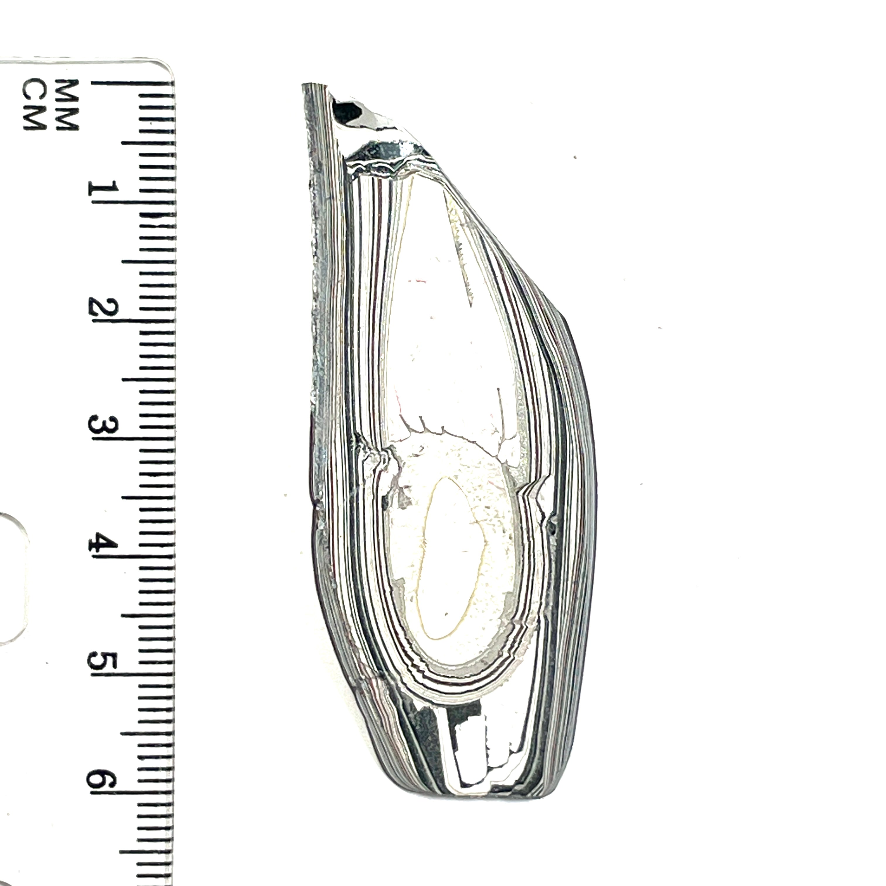 DVH Ford F150 Fordite Specimen Polished Face KC Assembly (6827)