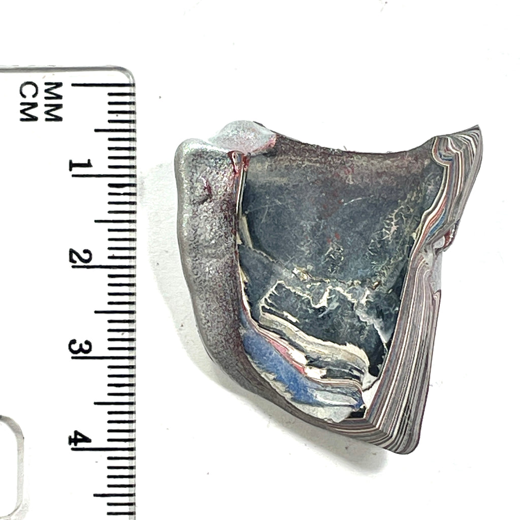 DVH Ford F150 Fordite Specimen Polished Face KC Assembly (6830)
