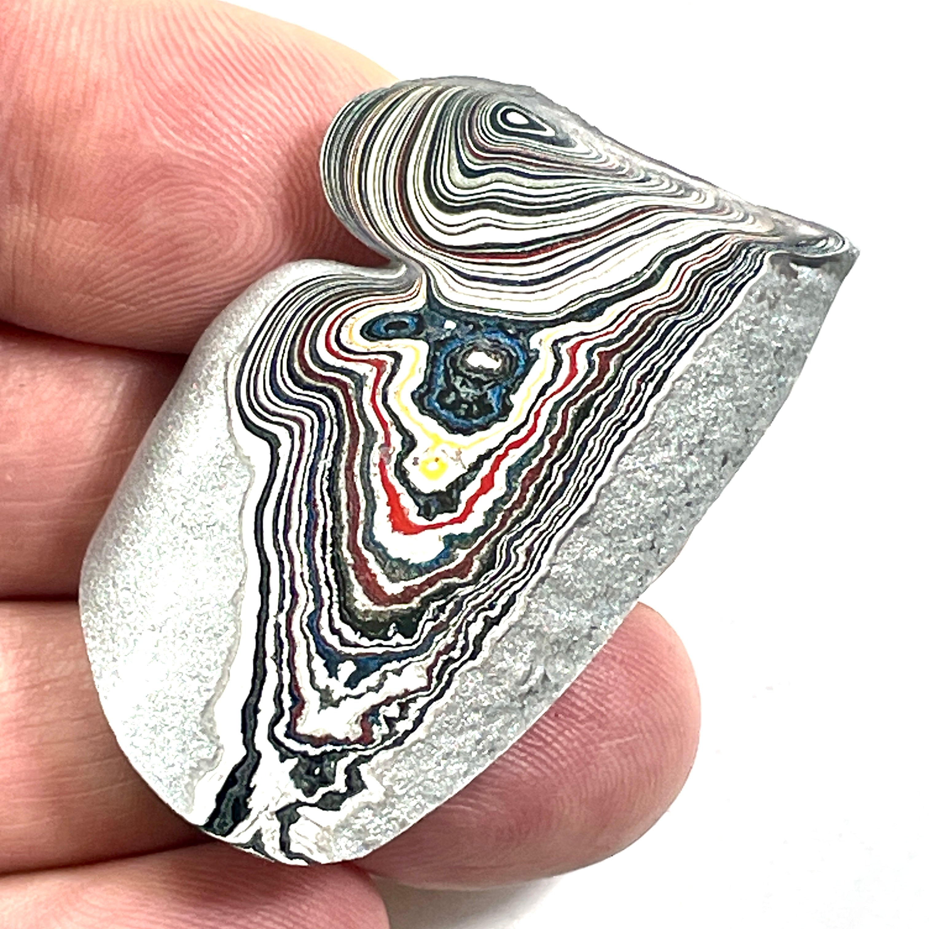 DVH Ford F150 Fordite Specimen Polished Face KC Assembly (6831)