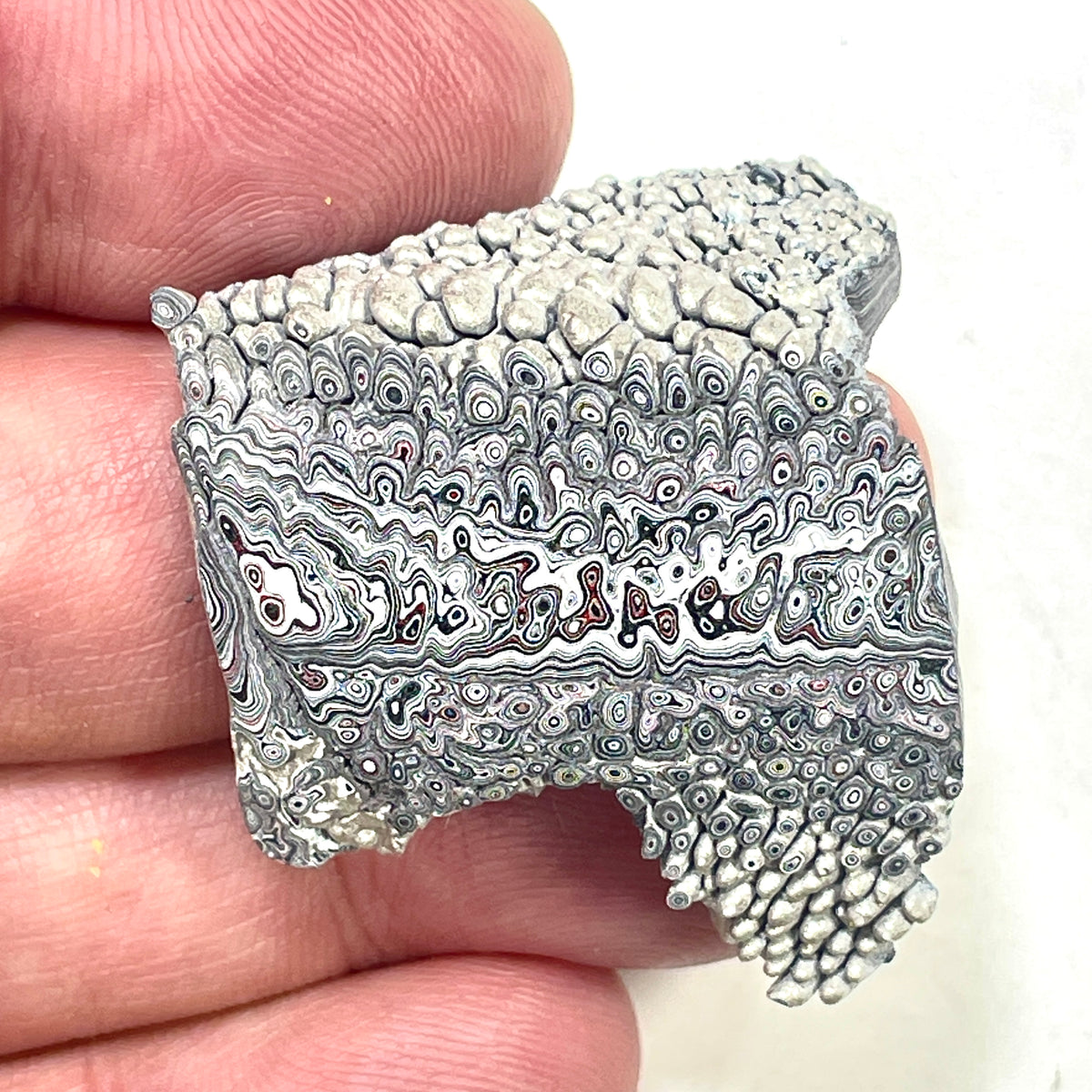 DVH Ford F150 Dragon Scale Fordite Specimen Polished Face KC Assembly (6933)