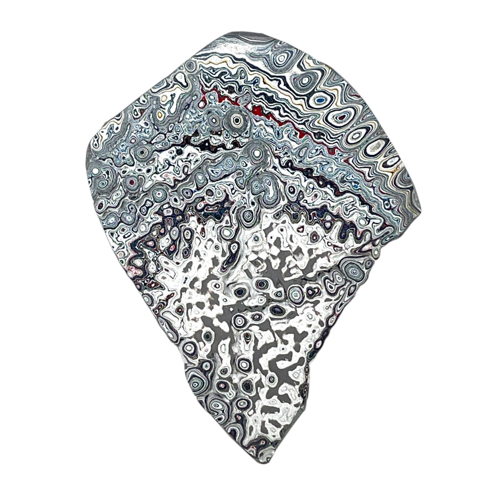 DVH Ford F150 Dragon Scale Fordite Specimen Polished Face KC Assembly (6935)