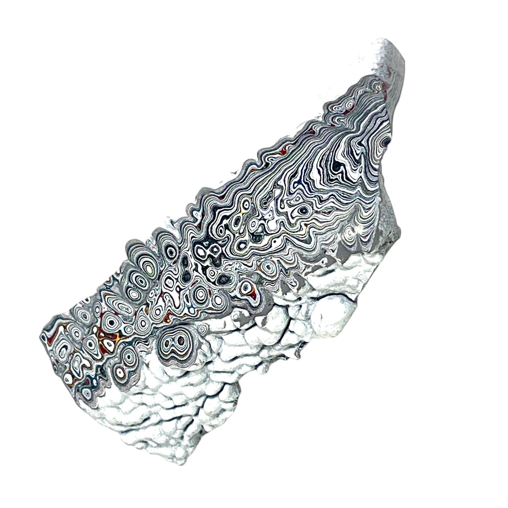 DVH Ford F150 Dragon Scale Fordite Specimen Polished Face KC Assembly (6936)