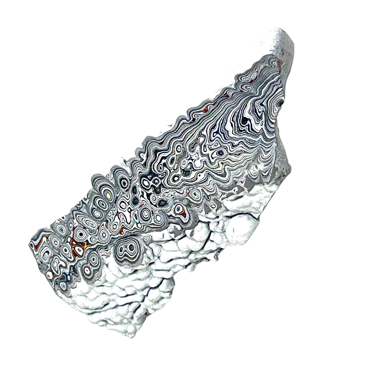 DVH Ford F150 Dragon Scale Fordite Specimen Polished Face KC Assembly (6936)