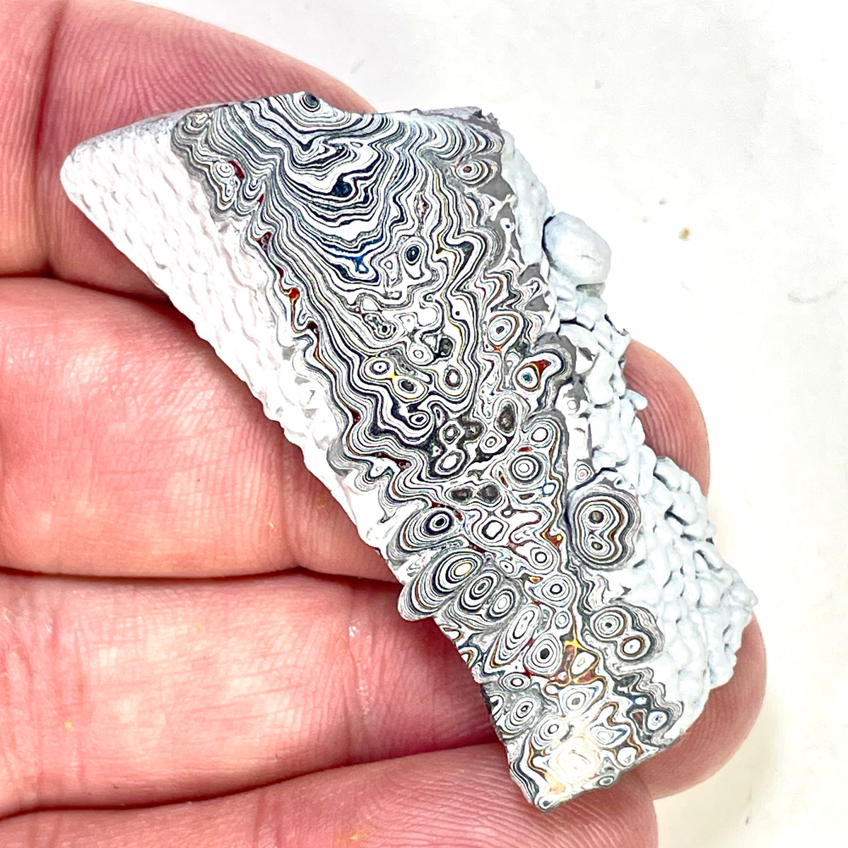DVH Ford F150 Dragon Scale Fordite Specimen Polished Face KC Assembly (6936)