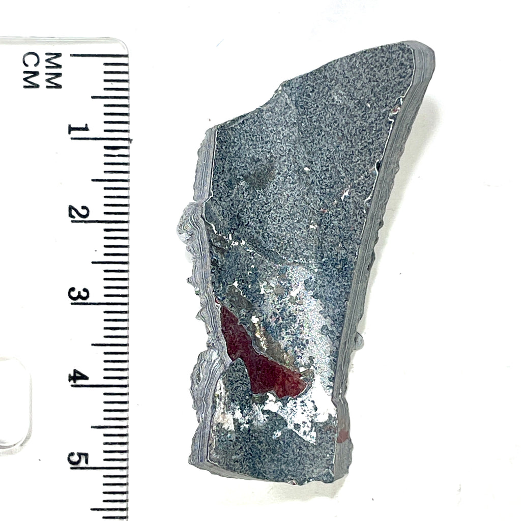 DVH Ford F150 Dragon Scale Fordite Specimen Polished Face KC Assembly (6936)