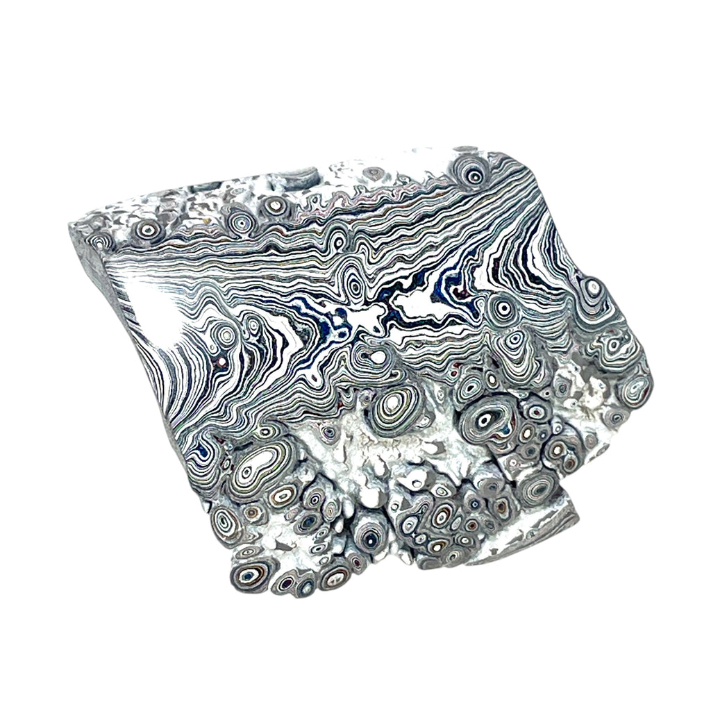DVH Ford F150 Dragon Scale Fordite Specimen Polished Face KC Assembly (6937)