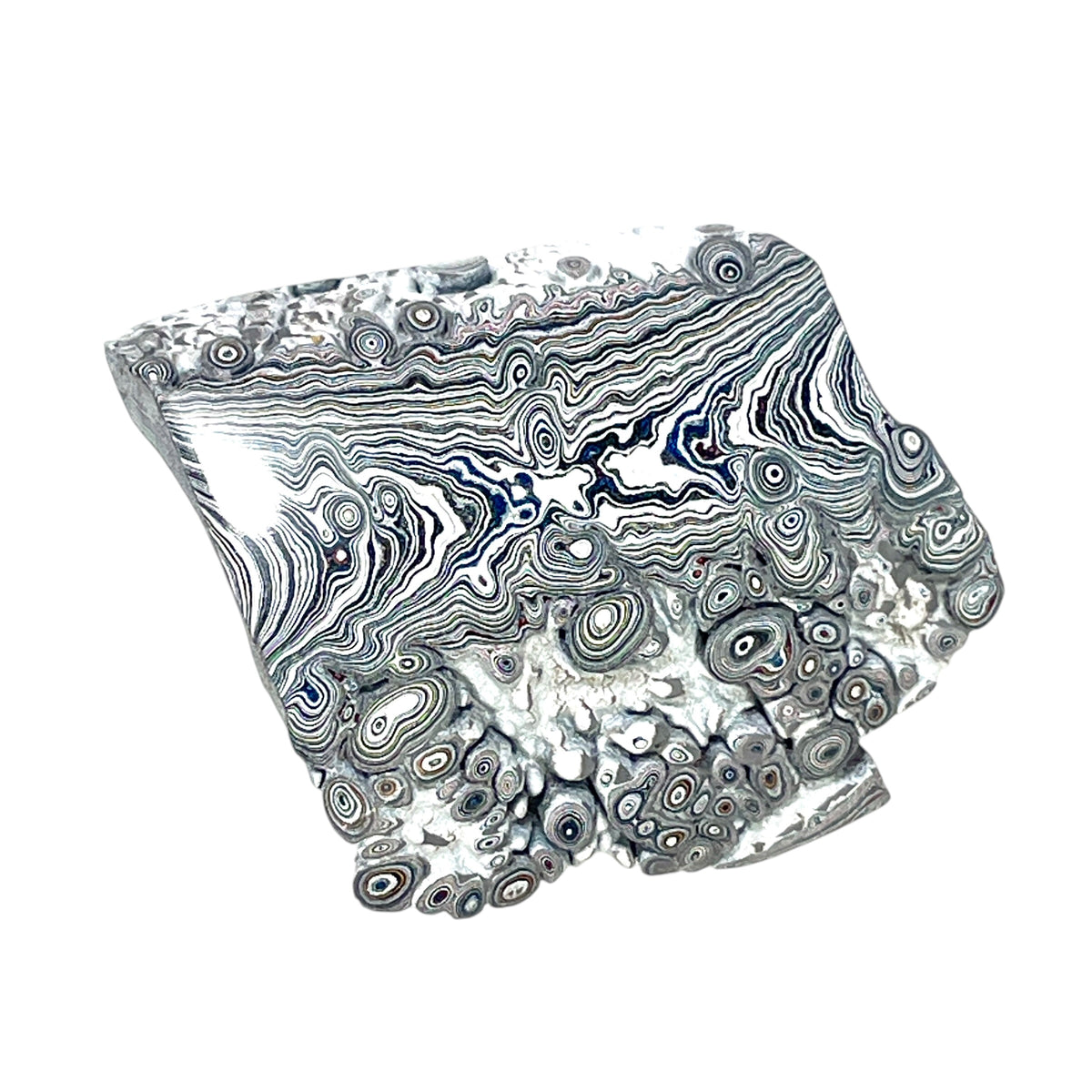 DVH Ford F150 Dragon Scale Fordite Specimen Polished Face KC Assembly (6937)