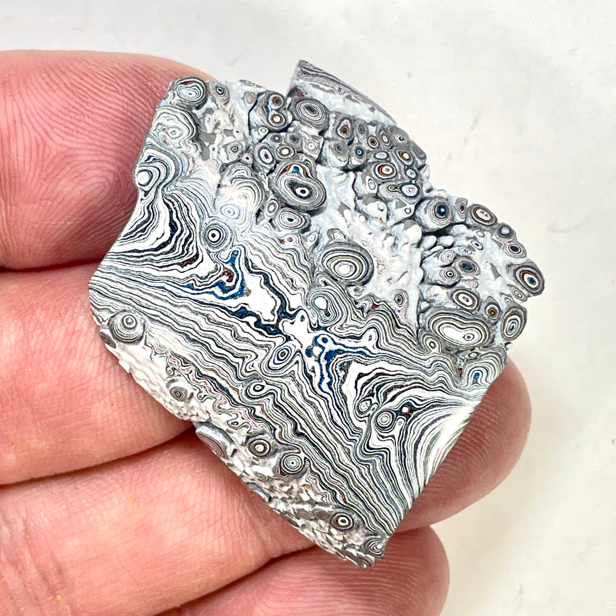 DVH Ford F150 Dragon Scale Fordite Specimen Polished Face KC Assembly (6937)