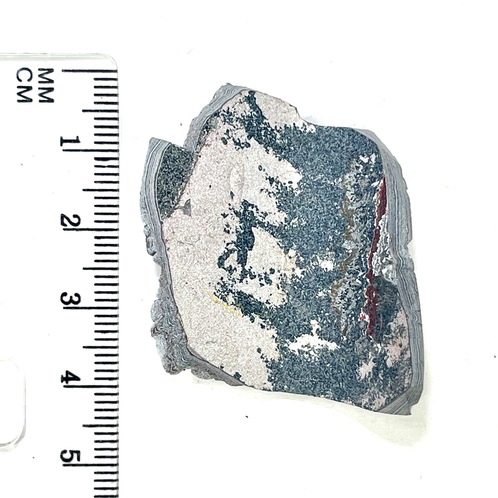 DVH Ford F150 Dragon Scale Fordite Specimen Polished Face KC Assembly (6937)