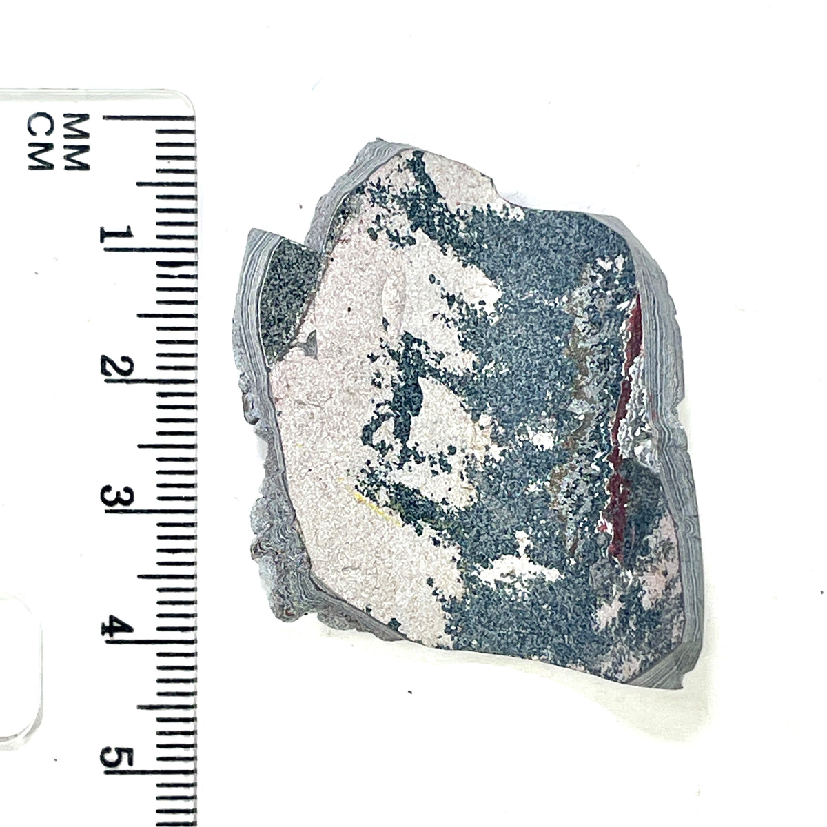 DVH Ford F150 Dragon Scale Fordite Specimen Polished Face KC Assembly (6937)