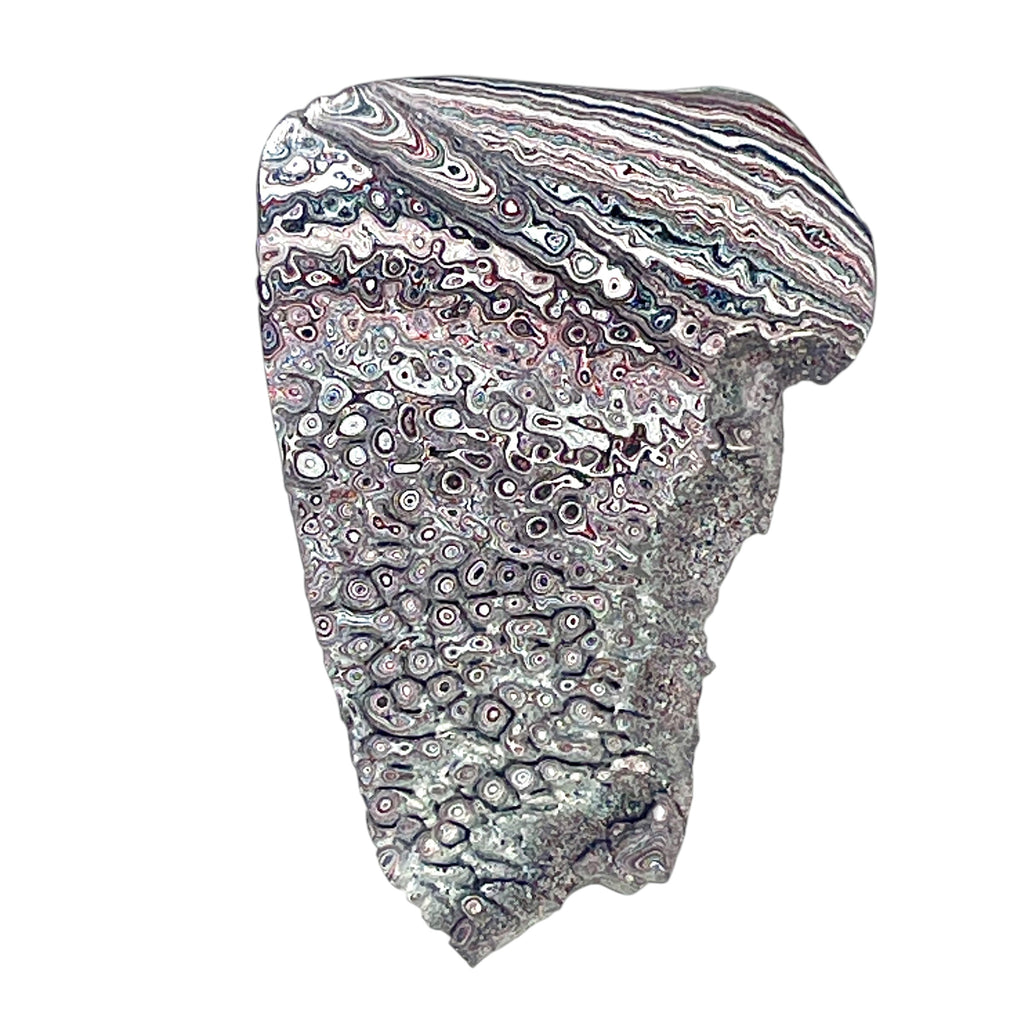 DVH Ford F150 Dragon Scale Fordite Specimen Polished Face KC Assembly (6938)