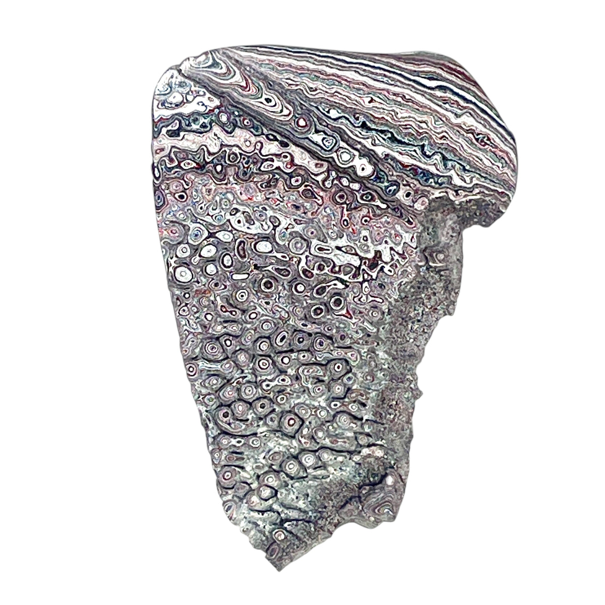 DVH Ford F150 Dragon Scale Fordite Specimen Polished Face KC Assembly (6938)