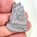 DVH Ford F150 Dragon Scale Fordite Specimen Polished Face KC Assembly (6938)