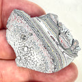 DVH Ford F150 Dragon Scale Fordite Specimen Polished Face KC Assembly (6939)