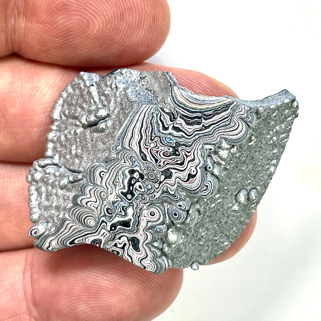 DVH Ford F150 Dragon Scale Fordite Specimen Polished Face KC Assembly (6940)