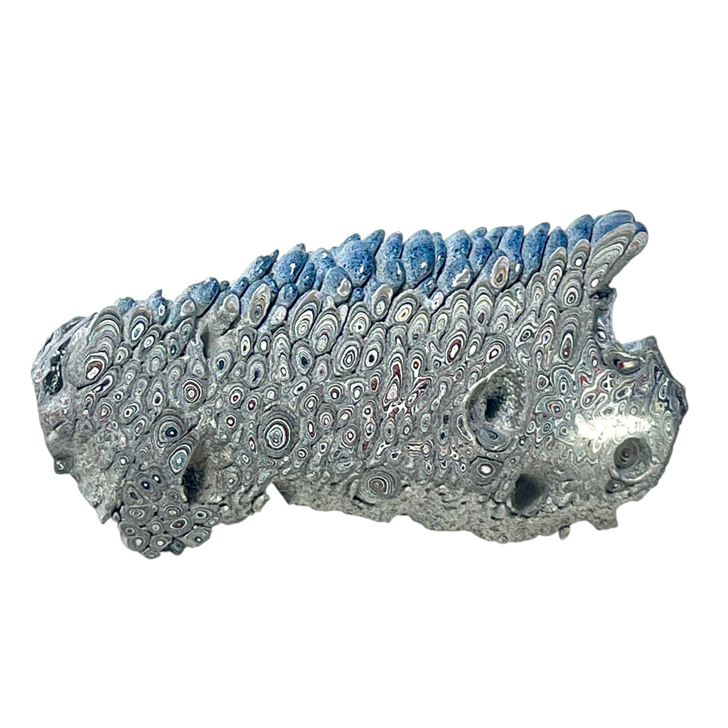 DVH Ford F150 Dragon Scale Fordite Specimen Polished Face KC Assembly (6941)