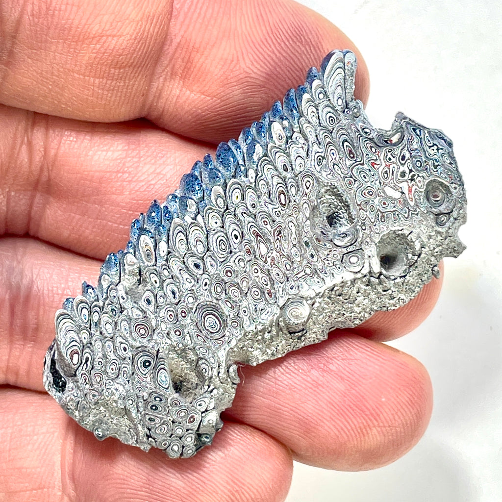 DVH Ford F150 Dragon Scale Fordite Specimen Polished Face KC Assembly (6941)