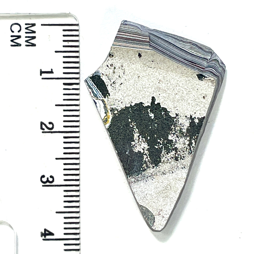 DVH Ford F150 Dragon Scale Fordite Specimen Polished Face KC Assembly (6942)