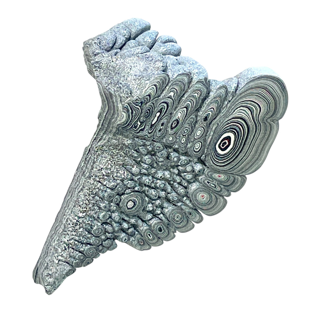 DVH Ford F150 Dragon Scale Fordite Specimen Polished Face KC Assembly (6943)