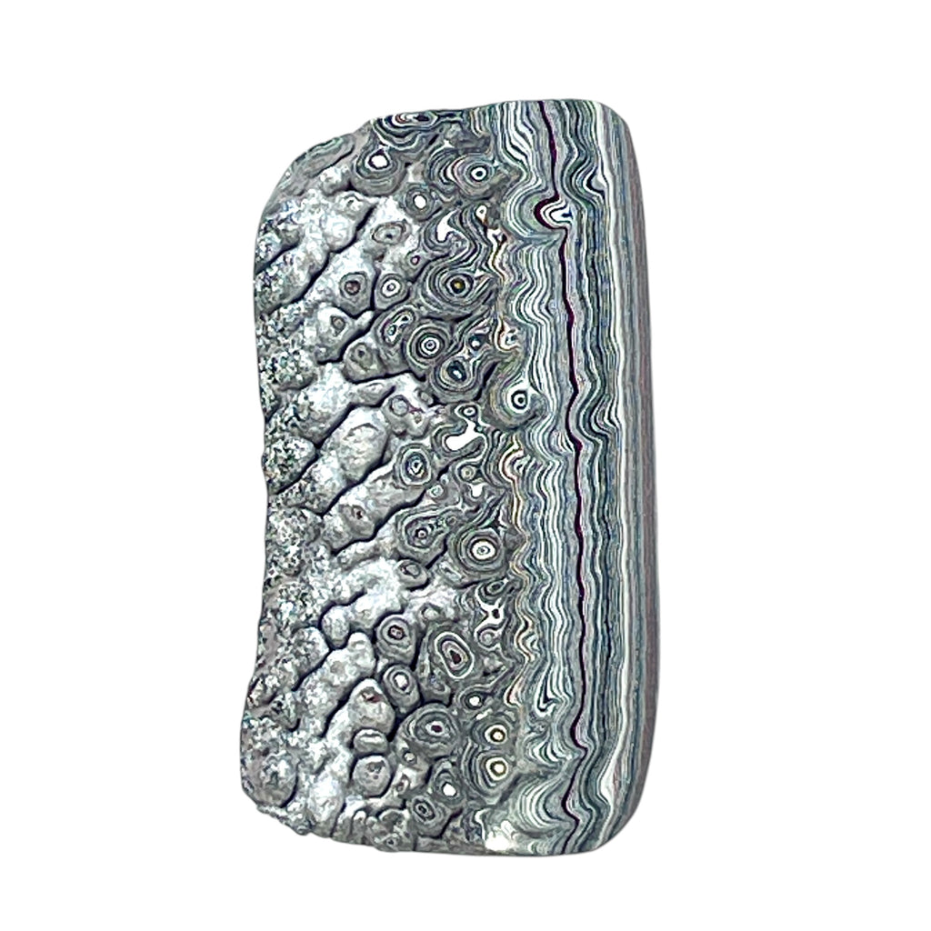 DVH Ford F150 Dragon Scale Fordite Specimen Polished Face KC Assembly (6944)
