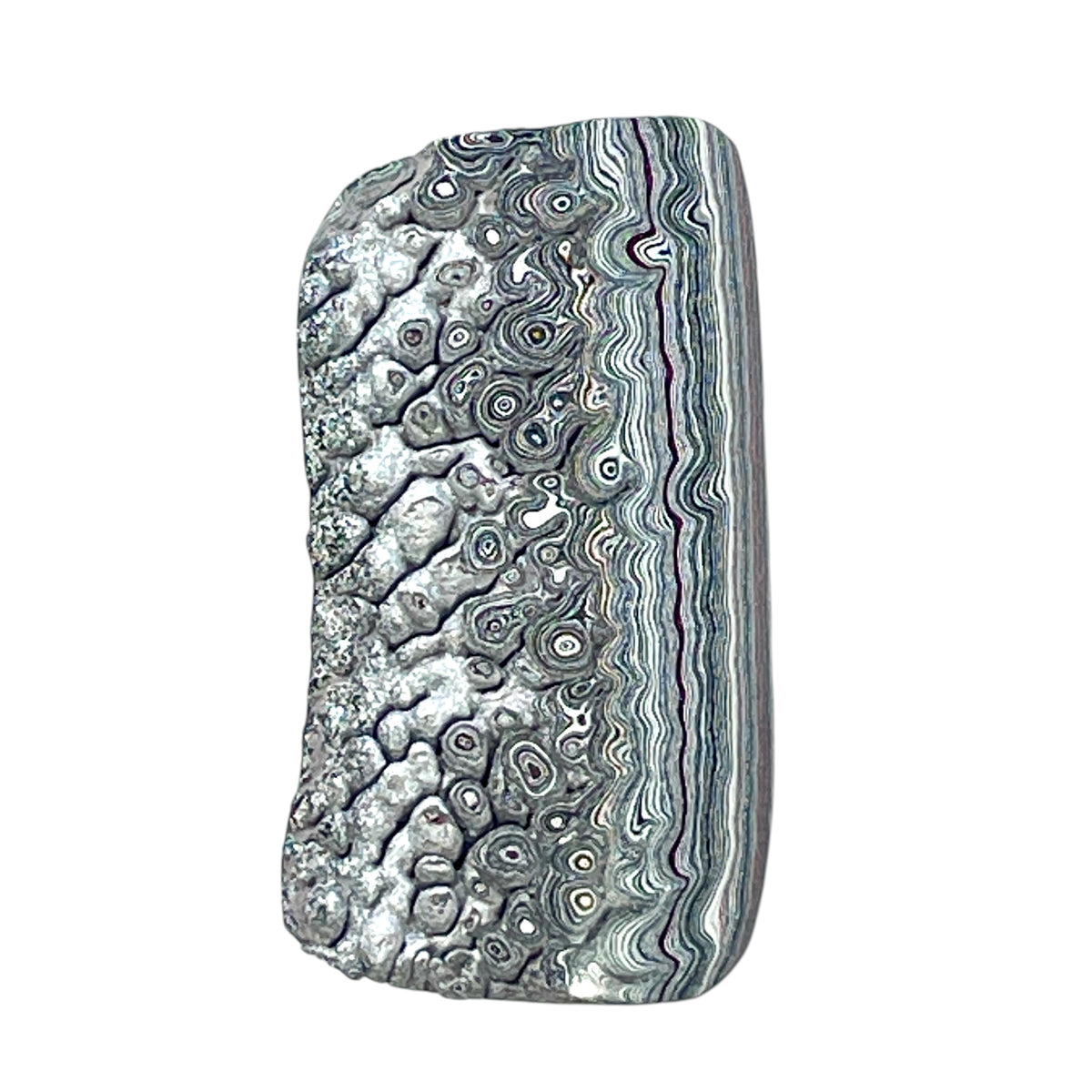 DVH Ford F150 Dragon Scale Fordite Specimen Polished Face KC Assembly (6944)