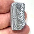 DVH Ford F150 Dragon Scale Fordite Specimen Polished Face KC Assembly (6944)