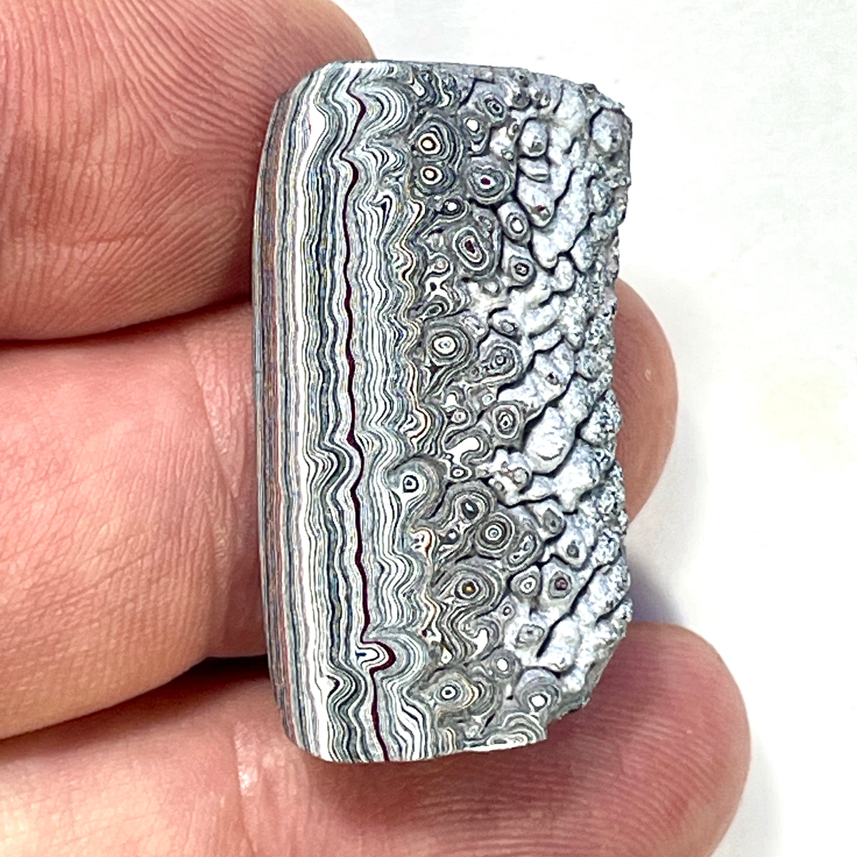 DVH Ford F150 Dragon Scale Fordite Specimen Polished Face KC Assembly (6944)
