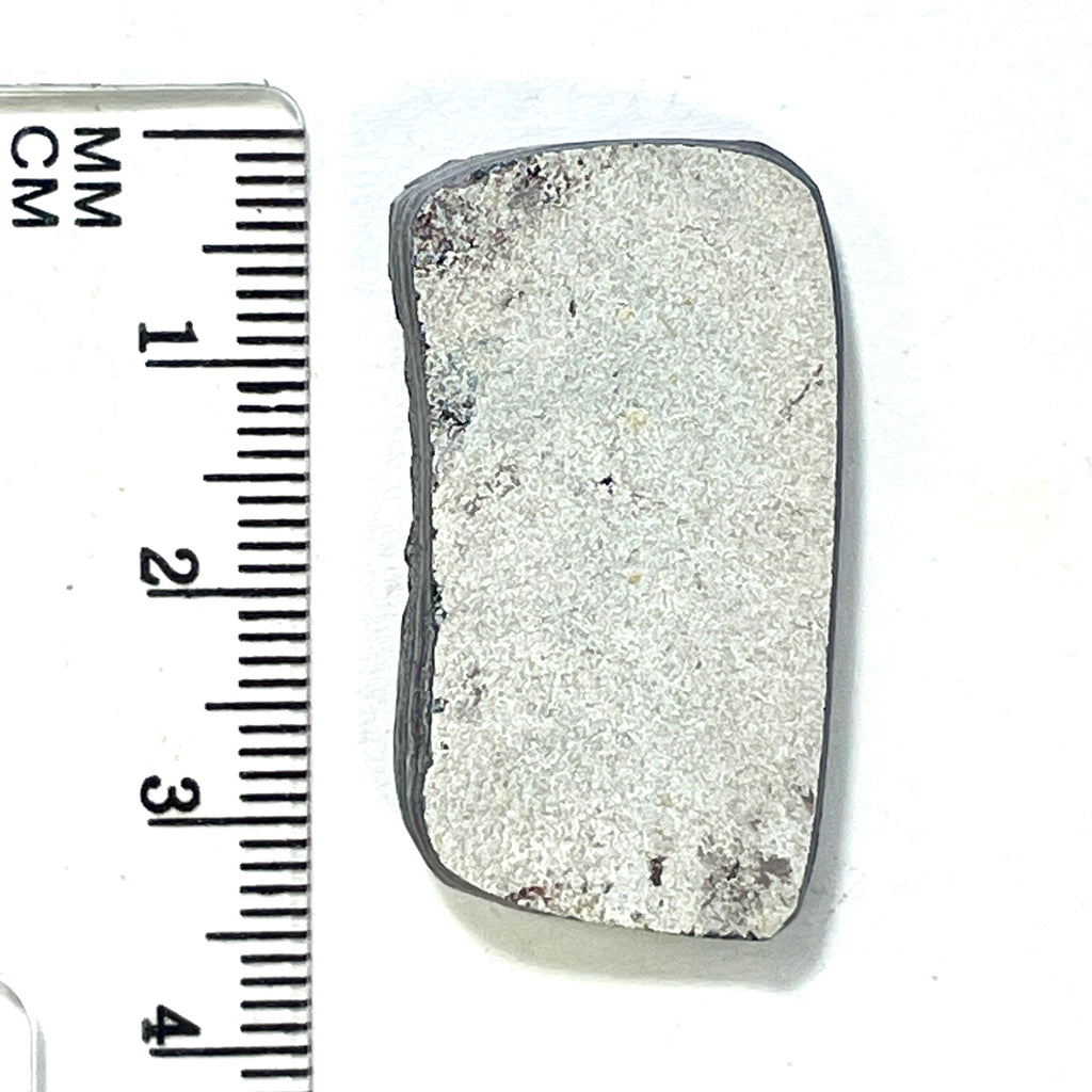 DVH Ford F150 Dragon Scale Fordite Specimen Polished Face KC Assembly (6944)