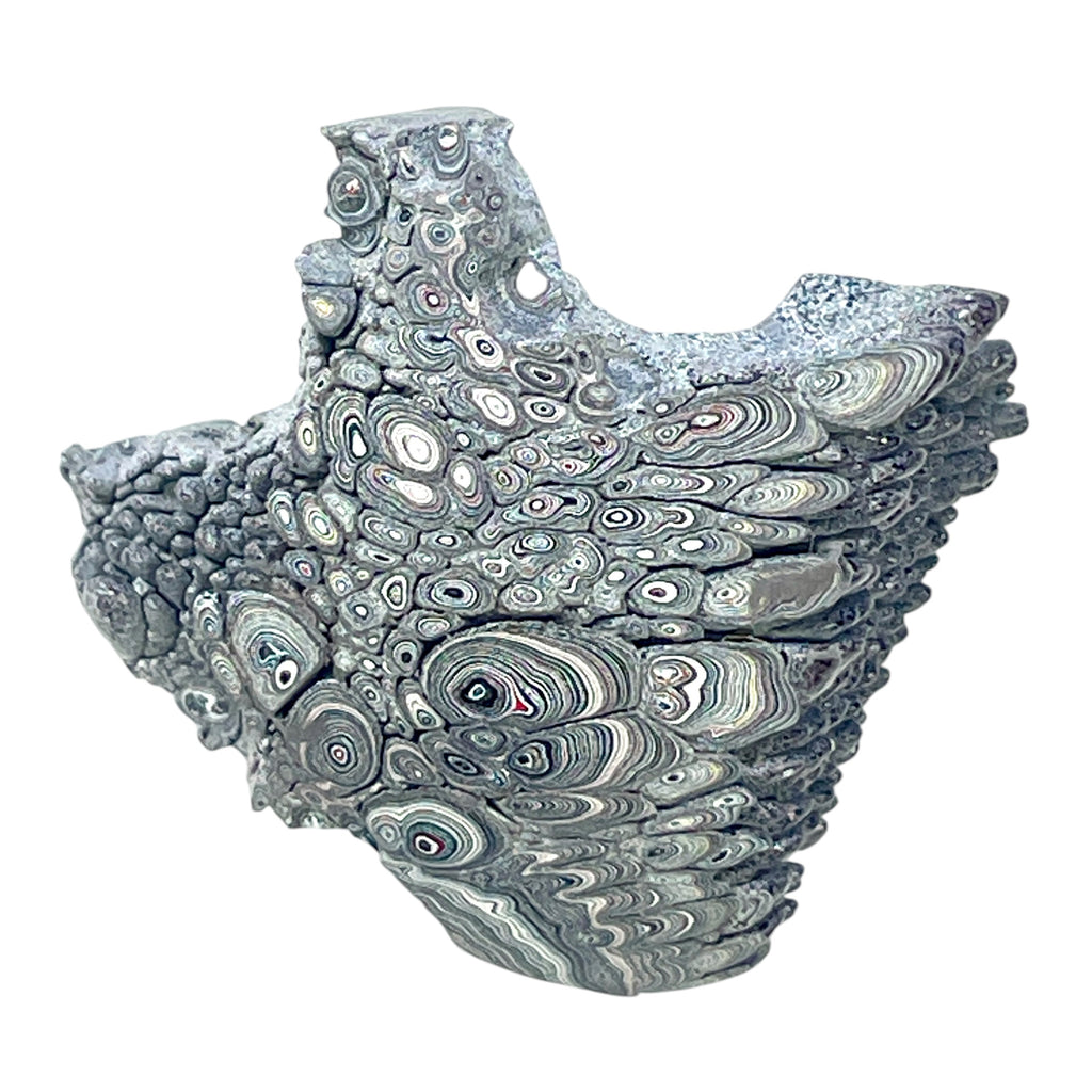 DVH Ford F150 Dragon Scale Fordite Specimen Polished Face KC Assembly (6945)