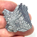 DVH Ford F150 Dragon Scale Fordite Specimen Polished Face KC Assembly (6945)