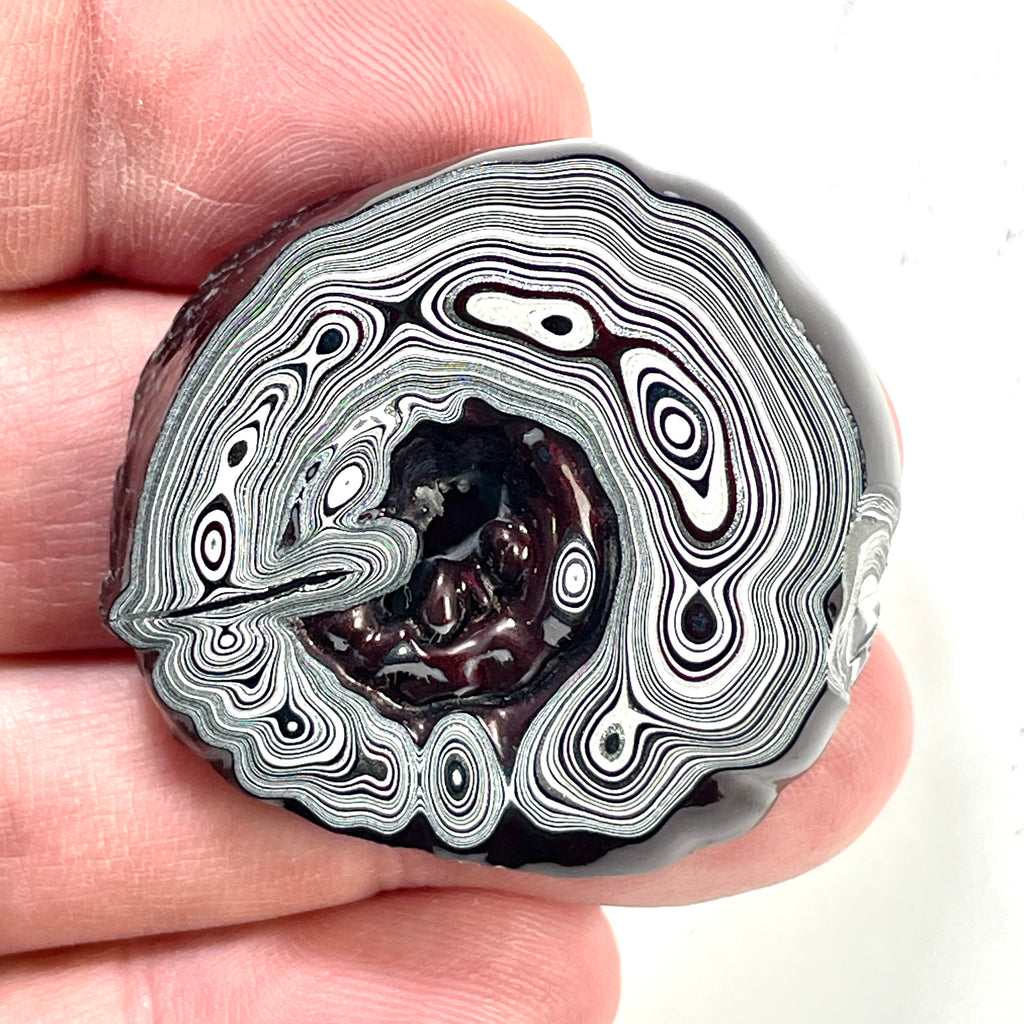 DVH Genuine Michigan Fordite Donut Specimen Polished Face Rough MOPAR (6001)