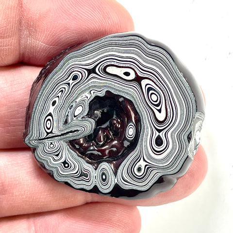 DVH Genuine Michigan Fordite Donut Specimen Polished Face Rough MOPAR (6001)