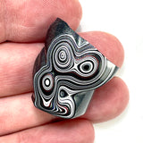 DVH Genuine Michigan Fordite Specimen Polished Face Rough MOPAR (5997)