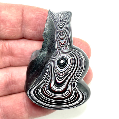 DVH Genuine Michigan Fordite Specimen Polished Face Rough MOPAR (5998)
