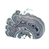 DVH Genuine Michigan Fordite Specimen Polished Face Rough MOPAR (6046)